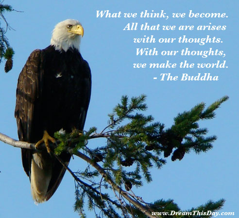 Pictures Images Quotes on What We Think  We Become  All That We Are Arises With Our Thoughts