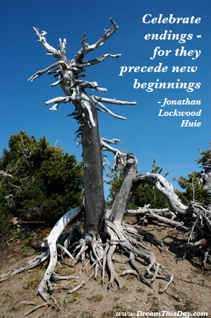 quotes on new beginnings in life. Fly Life on Free Wings,