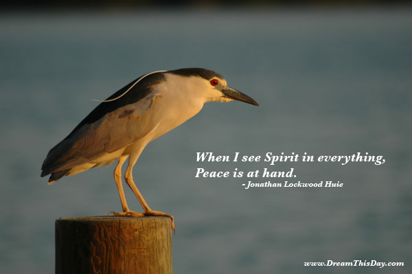 gandhi quotes on peace. Peace Quotes - Let peace begin