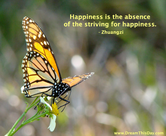 quotes on life and happiness. Quotes about Happiness. Happiness is the absence of the striving for 